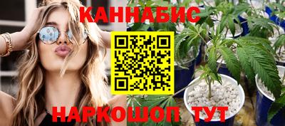 гашик Гусь-Хрустальный