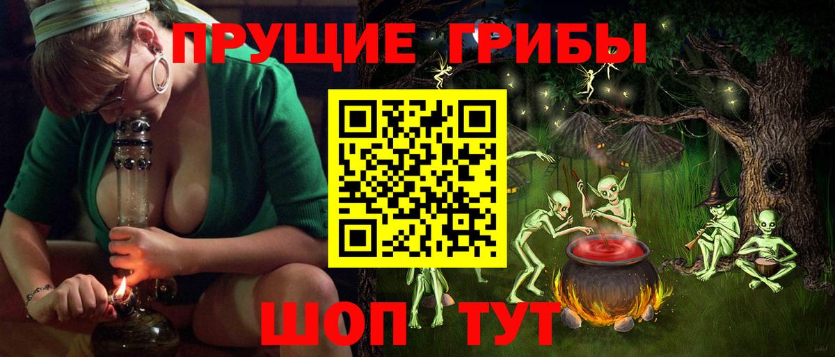 Псилоцибиновые грибы прущие грибы Михайловка